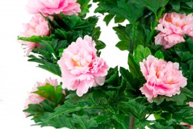 Искусственные растения Пион розовый MK-7411-HP Темно-зеленый в Среднеколымске - srednekolymsk.katalogmebeli.com | фото 2